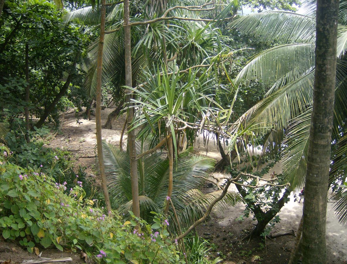 N'Guembu Nature Resort Porto Alegre Dış mekan fotoğraf