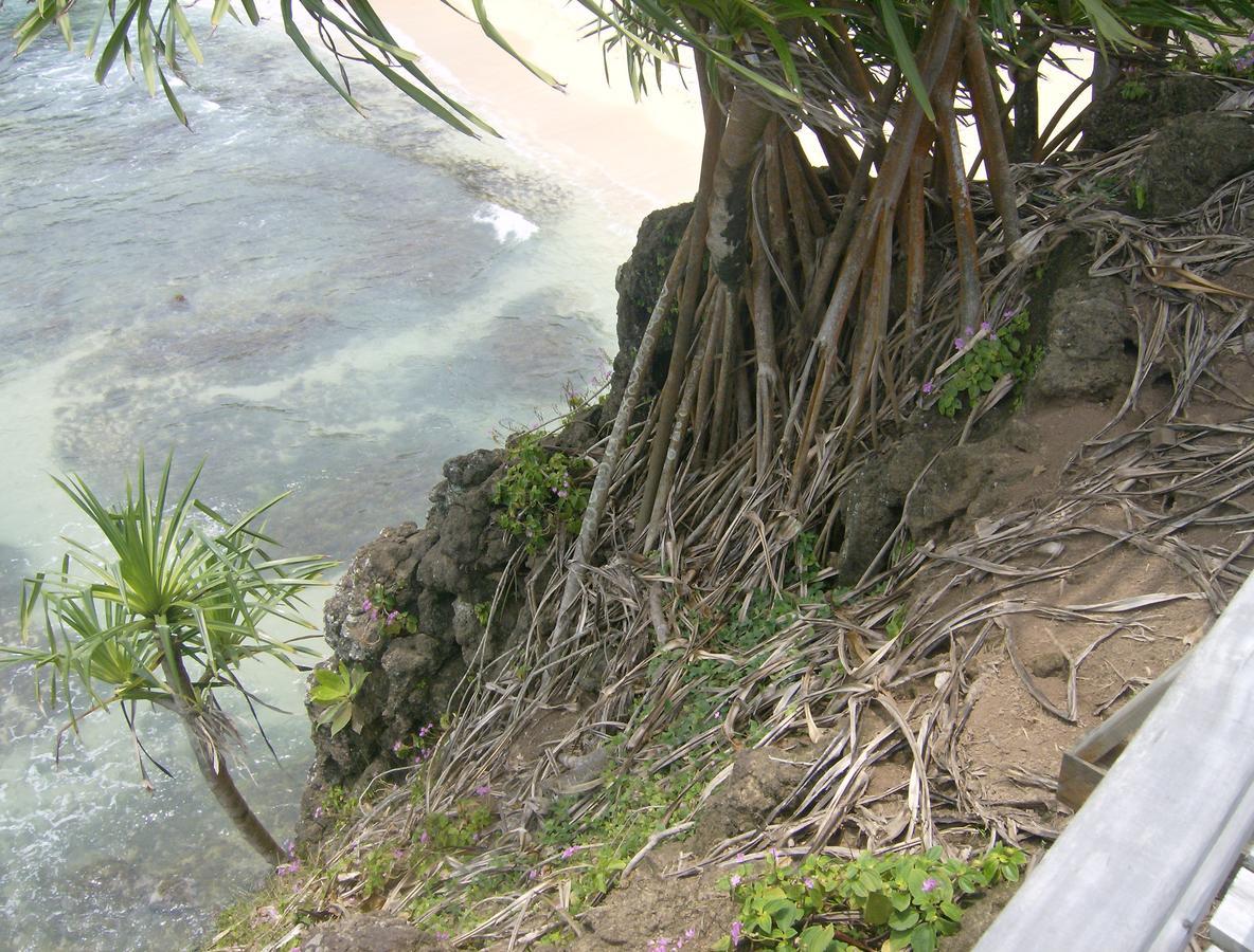 N'Guembu Nature Resort Porto Alegre Dış mekan fotoğraf