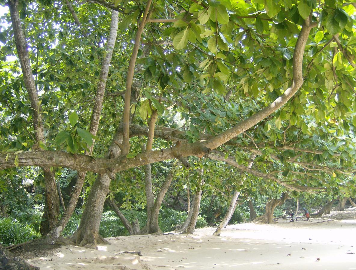 N'Guembu Nature Resort Porto Alegre Dış mekan fotoğraf